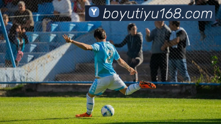 博鱼体育平台生态图